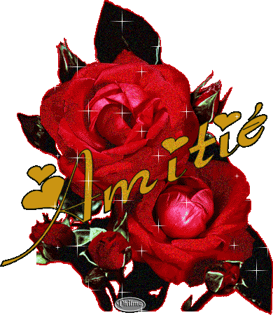 c quoi l'amitie???